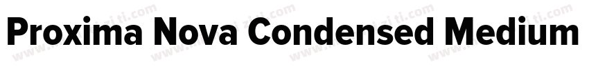 Proxima Nova Condensed Medium Itali字体转换